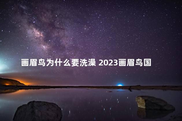 画眉鸟为什么要洗澡 2023画眉鸟国家允许养吗